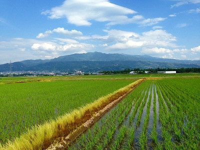 山形蔵王眺め