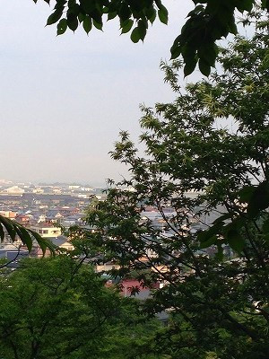Img_10850617 Img_10850617