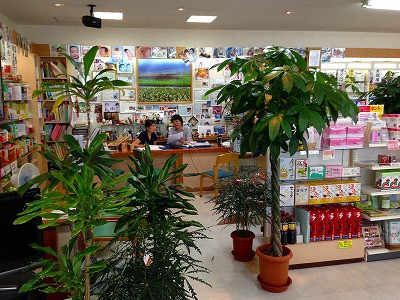 Img_11140620 土屋薬局 午後3時過ぎの風景 妻と師匠の何先生の黄帝内経素問の漢方勉強風景です