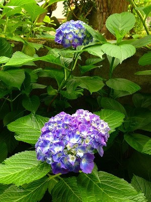 Img_11530623 Img_11530623