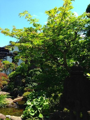Img_11550623 Img_11550623