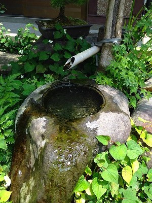 Img_11280621 Img_11280621