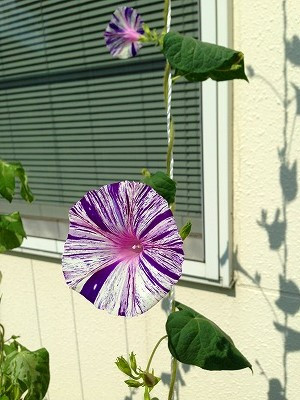 Img_12280702 Img_12280702