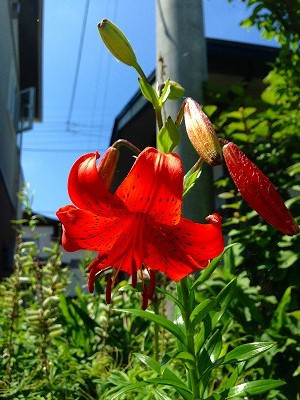Img_12300702 Img_12300702