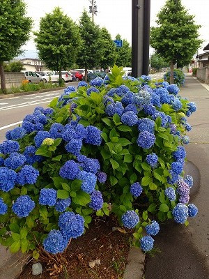 Img_12460704 Img_12460704