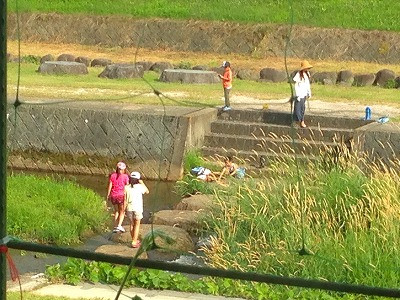 Img_12800706 Img_12800706