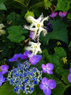 Img_13510712 Img_13510712