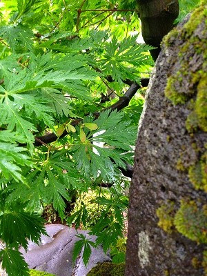 Img_13970717 Img_13970717