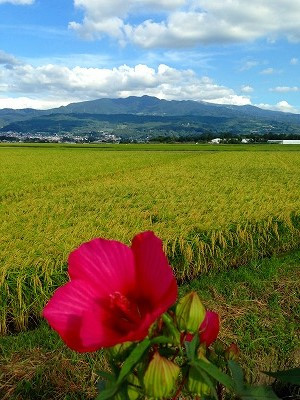 Img_18960831 Img_18960831