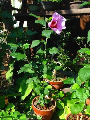 Img_19700909 Img_19700909