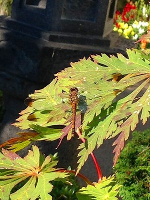 Img_21410921 Img_21410921