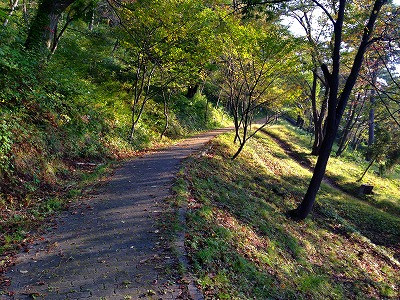 夏は終わり、秋らしい風景の若木山の上り路