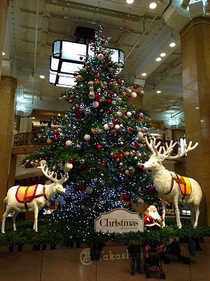 0321130 イスクラの帰りには、高島屋をのぞくとクリスマスツリーが素敵でした。