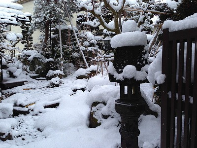 我が家の庭に雪が積もります。