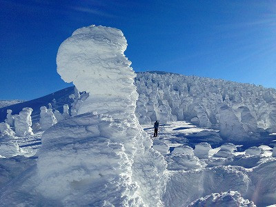 雪のモンスター、樹氷も輝かしいです