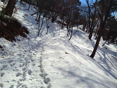 冬の若木山