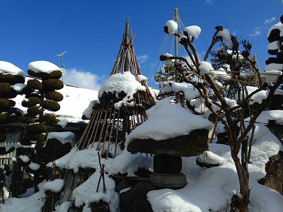 離れの屋根の雪も溶けてほしいです。