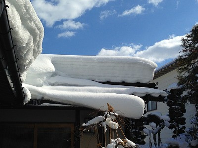 離れの屋根の雪も溶けてほしいです。