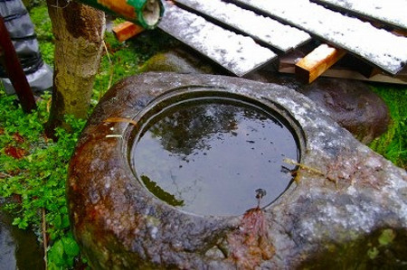 Imgp9375_2 氷