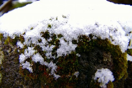 Imgp9391 石灯籠の雪