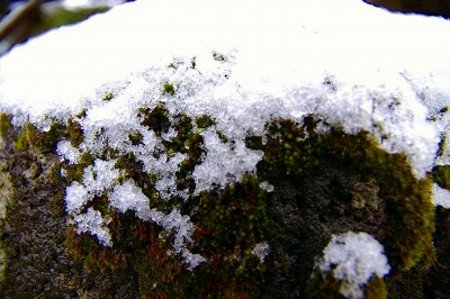 石灯籠の雪