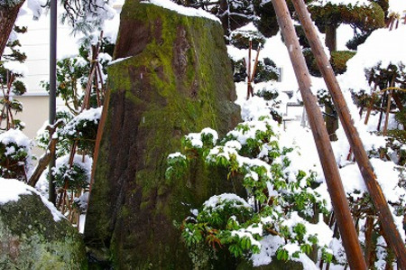 雪景色の我家の庭