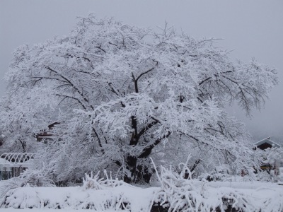DSCF0082 DSCF0082