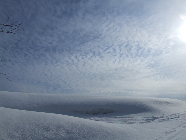 DSCF0723 雪景色