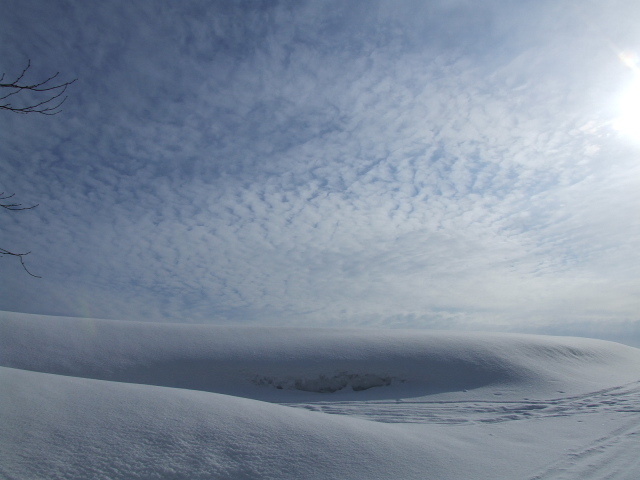 雪景色