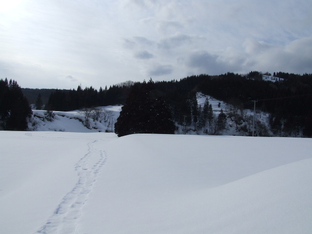 遥かなる雪原を、僕は歩く、歩く。