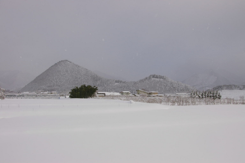 IMGP0007 果てしない雪原
