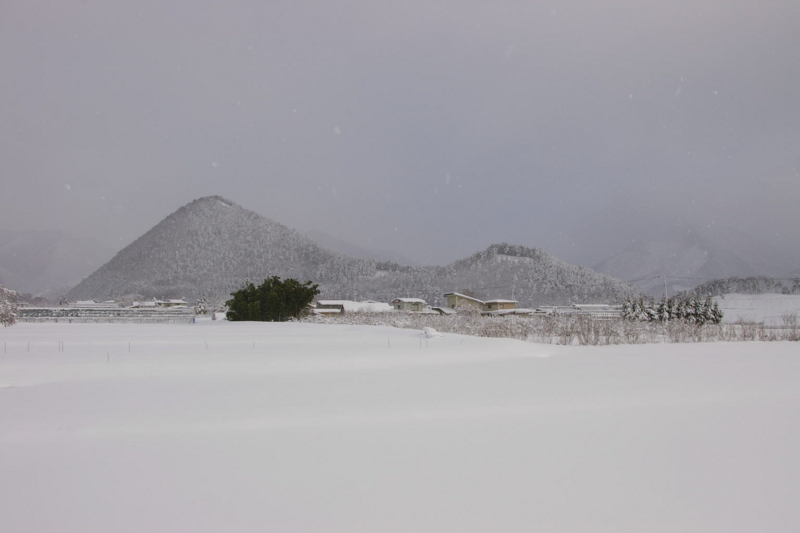 果てしない雪原