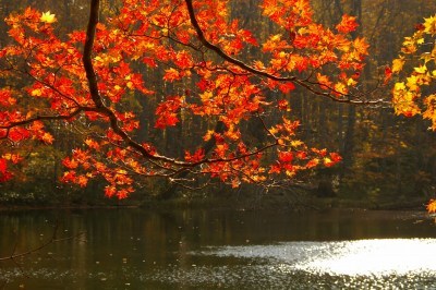 IMGP0720 月沼の紅葉
