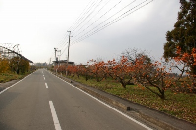 IMGP4866 IMGP4866
