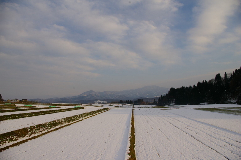 村山市次年子