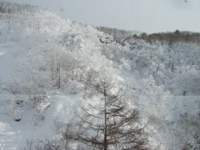 山形新幹線からの車窓の風景