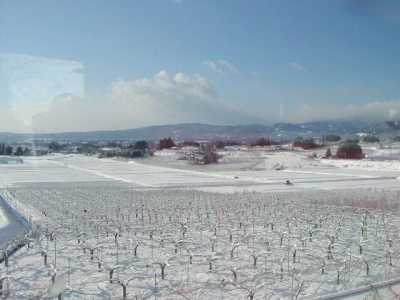 白布の雪景色