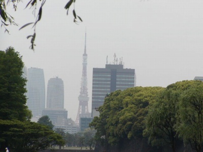 P5220079 P5220079