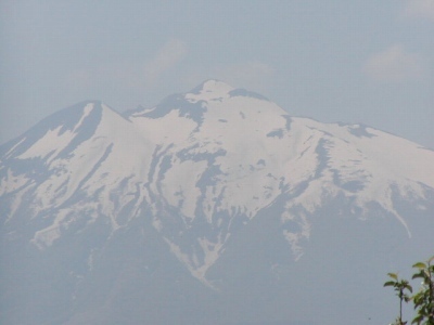 「岩木山にはりんごの花がよく似合う」