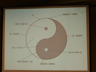 周期療法の原典の「大極図」です。