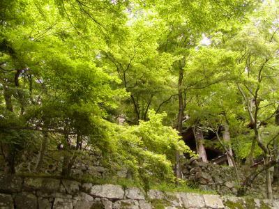 京都現代美術館も訪れましたが、とっても静寂していて心が癒されました。