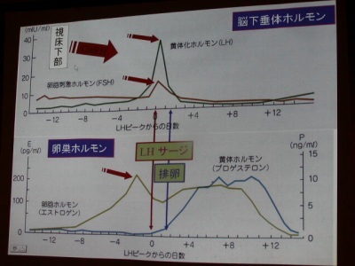 西洋医学の女性のホルモンのスライド