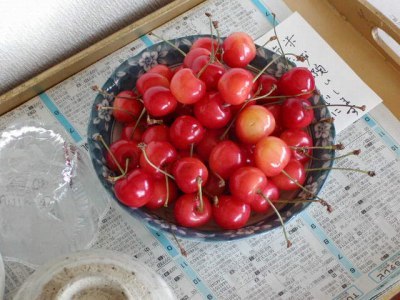 今日（２００５年６月３０日）の我が家の食卓です。さくらんぼが彩りを添えています。