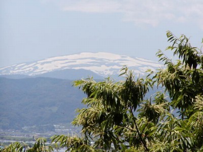 「雲の峯幾つ崩て月の山」