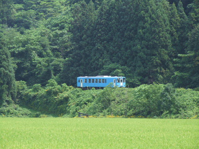Dscf0409 Dscf0409