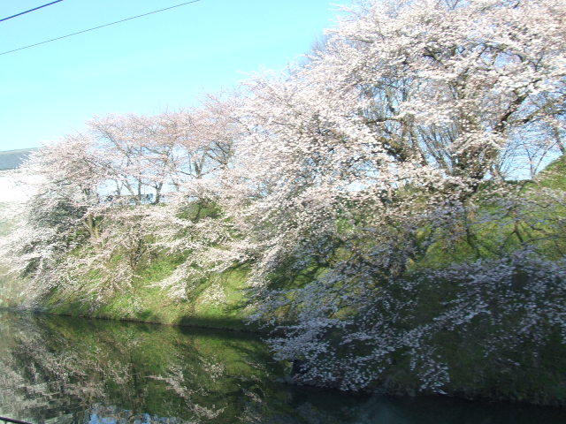 山形新幹線車窓　「山形城東大手門桜見上げ」