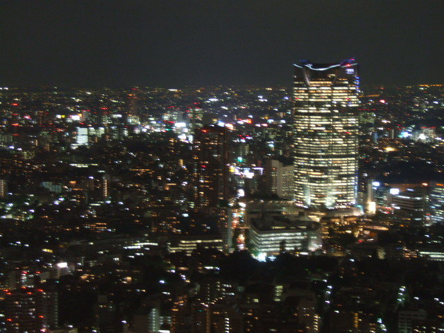 Dscf1159 東京タワー