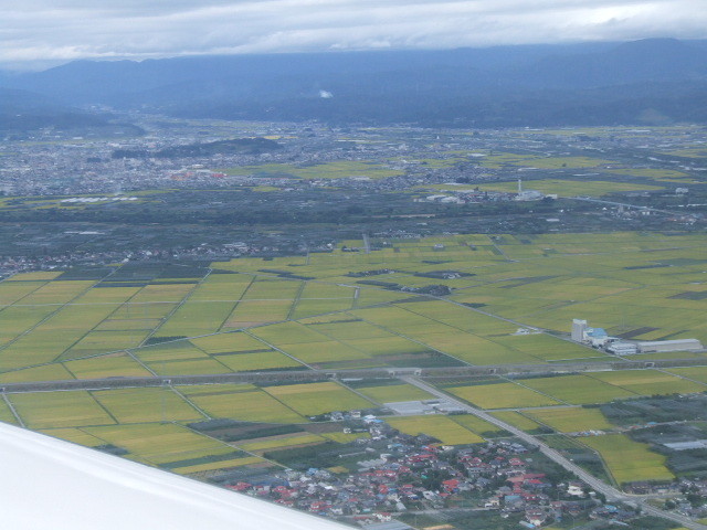 稲穂が実る山形盆地