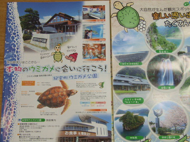 Dscf1285kihoi Dscf1285kihoi