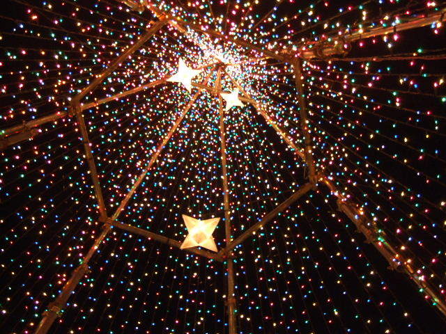 Dscf1389 Dscf1389